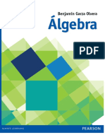 Copia de Álgebra (Garza).pdf