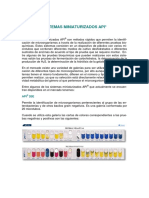 10_SistemasAPI (1).pdf