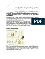 Evidencia 1 Asesoria Caso Exportacion