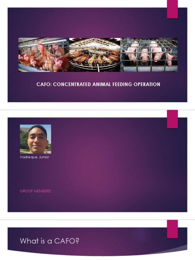 CAFO Waste Management Challenges | PDF