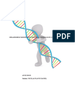 Organisme Modificate Genetic