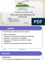 Enfermagem Materno Infantil INFLAMAÇÃO CELULAR