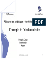 2008 exemple d'INFECTION URINAIRE