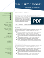 CV Template 20.docx