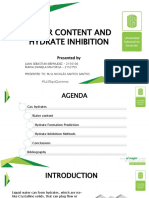 Presentacion Hidratos PDF
