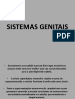 SISTEMAS GENITAIS - 8ANO