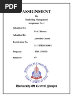 Assignment: University of Central Punjab