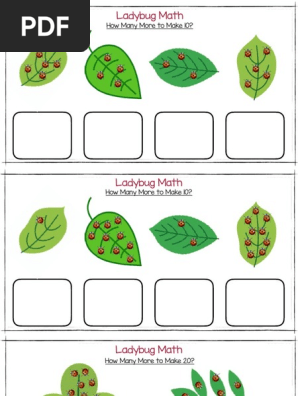 ladybug math