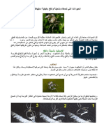 الحيوانات التي تصطاد بالحيلة والفخ وكيفية استهلاكها غذائها