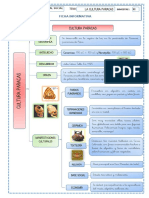 Cultura Paracas PDF
