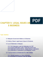 Chapter 5: Legal Issues Unique To E-Business