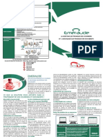 Soliumt It Plaquette Emeraude PDF