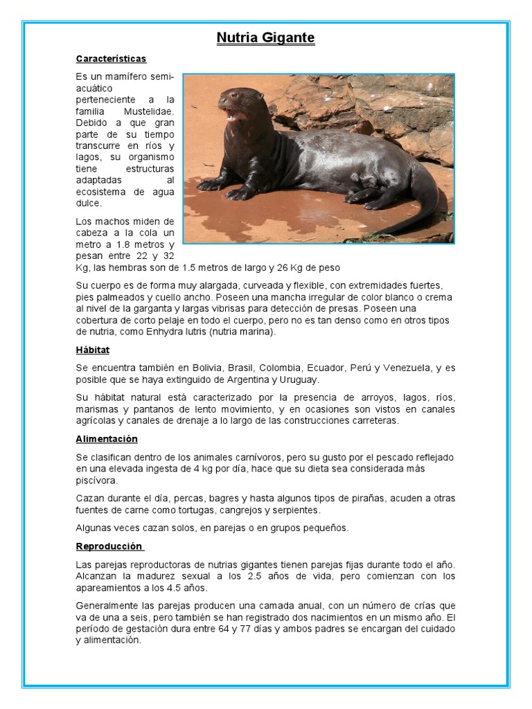Características de la Nutria Gigante | PDF