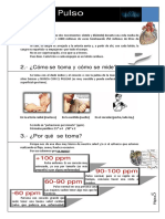 Pulso y Circuito Fisico - Informacion de Contenidos