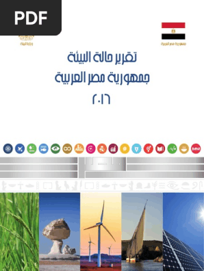 Egypt Soe 2016 Final Pdf Pdf