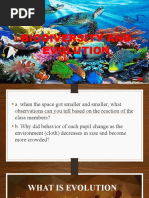 Evolution Project Video Guidelines | PDF | Natural Selection | Evolution