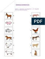 Animales Domésticos PDF