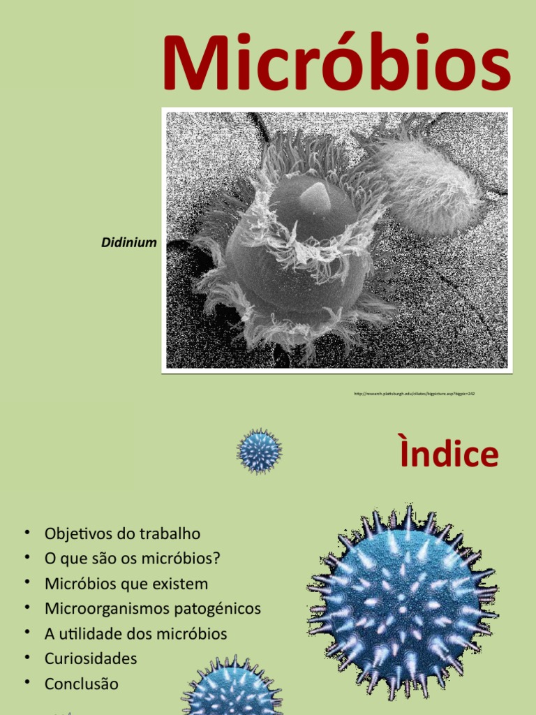 Micróbios Aula 2-150104094717 | PDF | Microrganismo | Bactérias