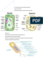 Parts of Cells + Animal Vs Plant Cell