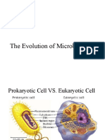 04 Prokaryotes and Protists Bi 3