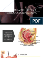 425472350-Anatomia-Del-Sistema-Reproductor-Femenino