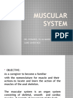 Muscular System: Del Rosario, Elija Marie T. Care Giver Ncii