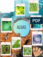 Algas 