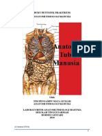 Panduan Praktikum AnFisMan.docx