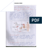 ANATOMIA.docx