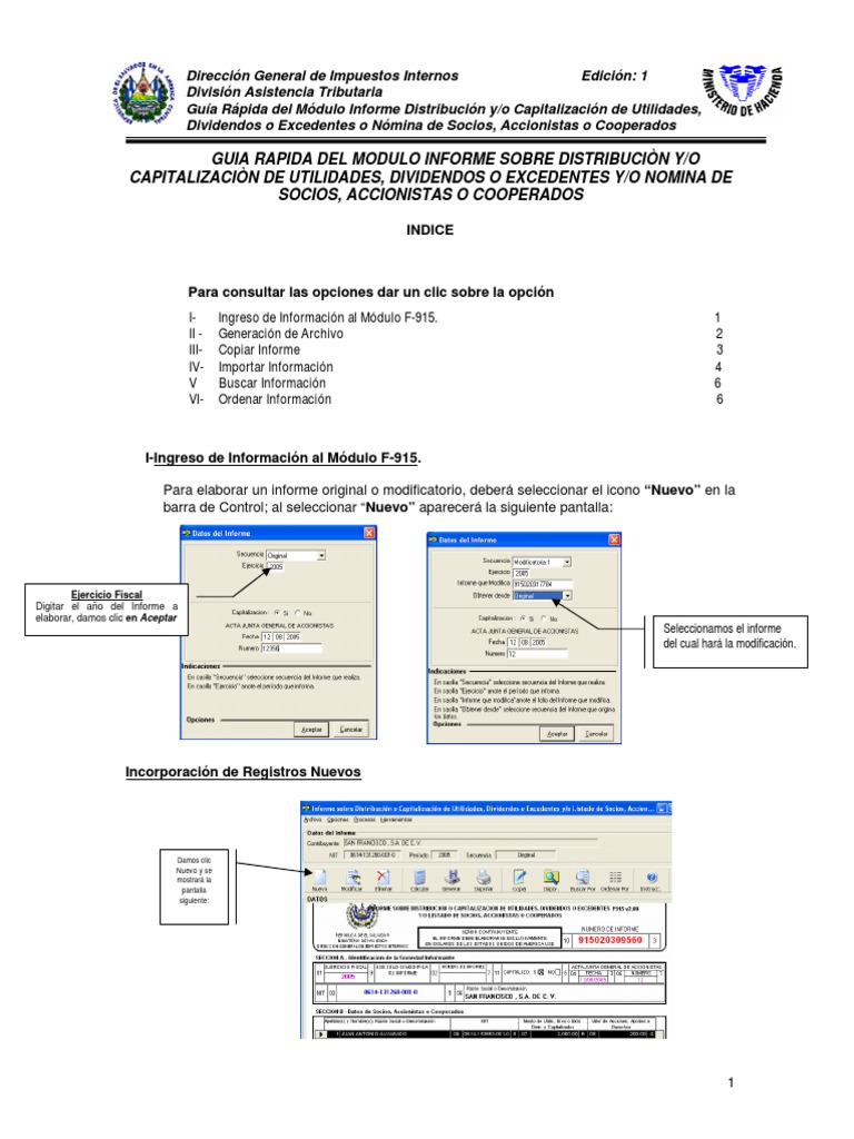 Gua Rpida Informe F-915 El Salvador | PDF | Archivo de computadora ...