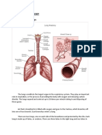 Anatomy of The Lungs: Viii. Pathophysiology