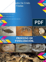 Fosiles PDF