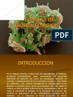 biorremediaciondesuelosaguayaire-111107201914-phpapp02(2)