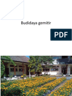 Budidaya Gemitir