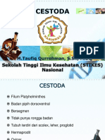 Cestoda Taenia PDF