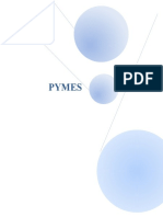 Pymes Final