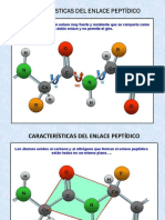 estructura-de-las-proteinas.pdf