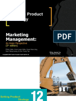 Setting Product Strategy: Marketing Management