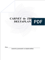 Carnet Zbor Deltaplan PDF