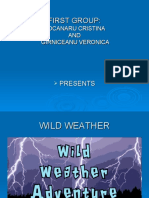 Wild Weather