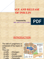 Insulin Storage and Release