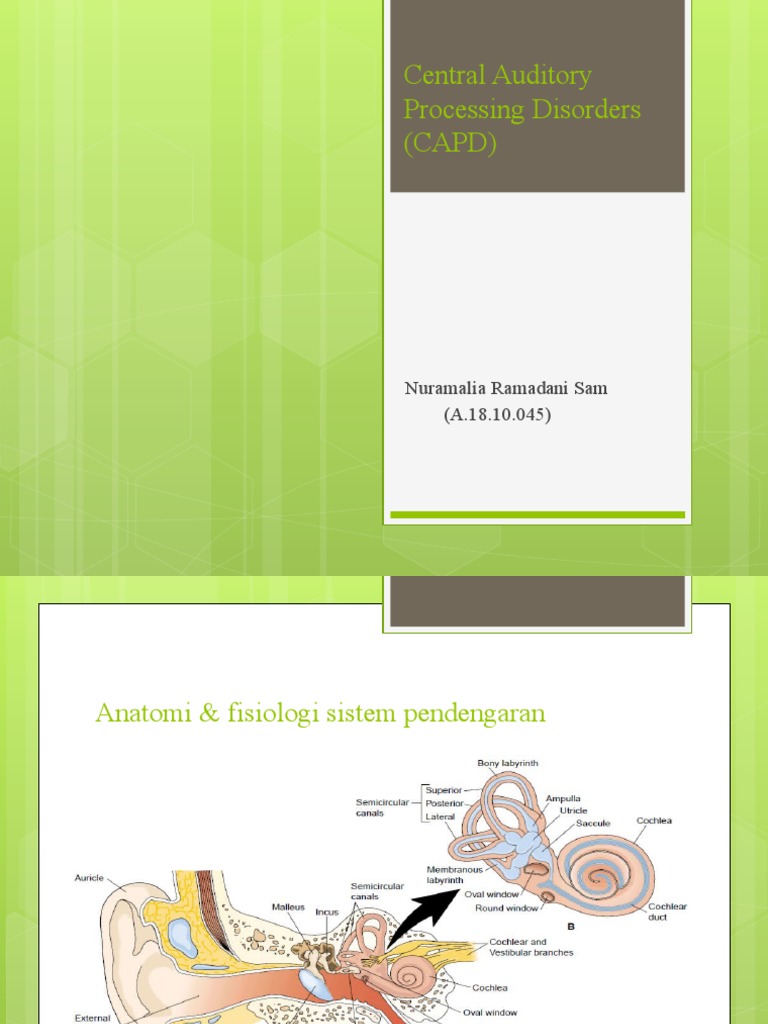 Auditory Processing Disorder (APD) | PDF