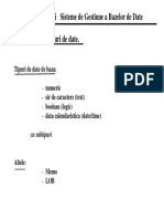 Introducere in Baze de Date PDF