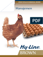 Manajemen Layer Hyline Indonesia PDF