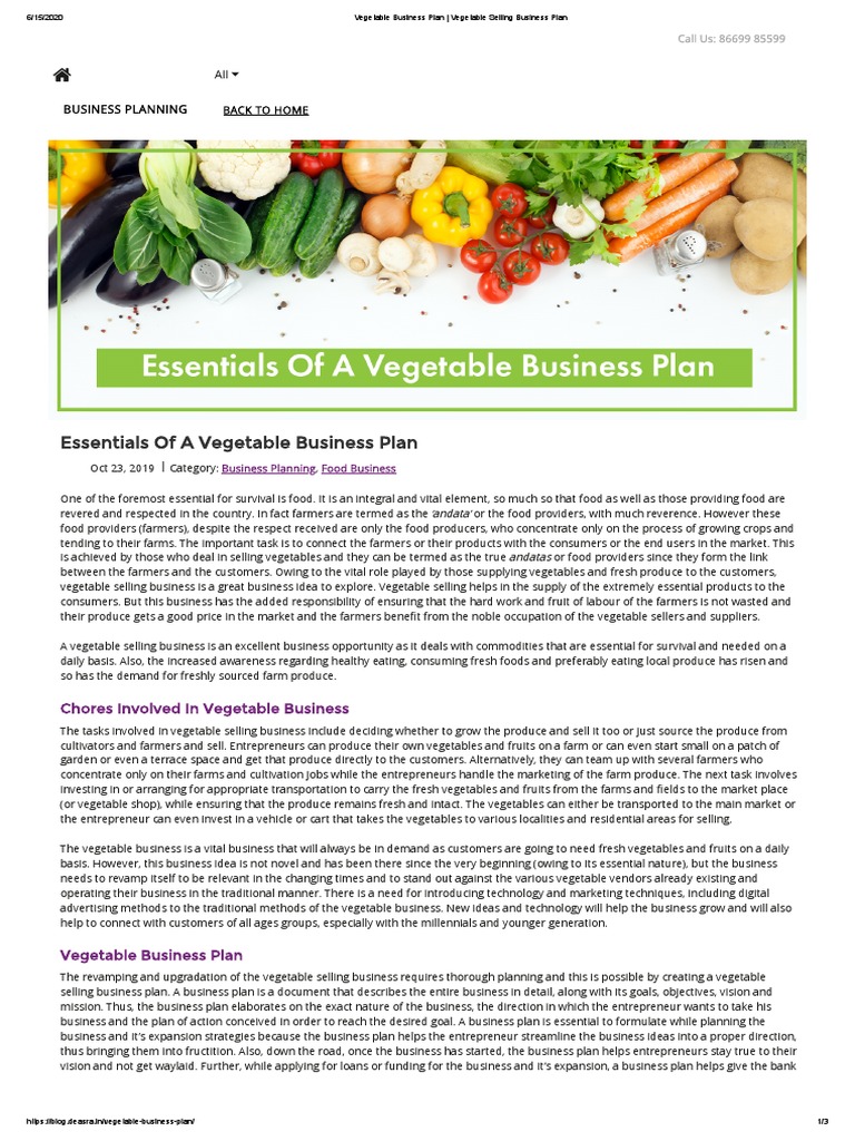 Vegetable Business Plan Vegetable Selling Business Plan PDF