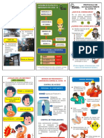 Triptico Covid PDF