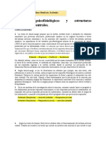 Variables Psicofisiológicas y Estructuras Neurológicas Centrales Chacaliaza