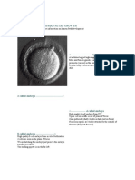 Introduction to Human Fetal Growth