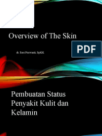 Overview of The Skin