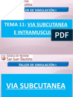 Subcutanea (FINAL) 2019 Nov